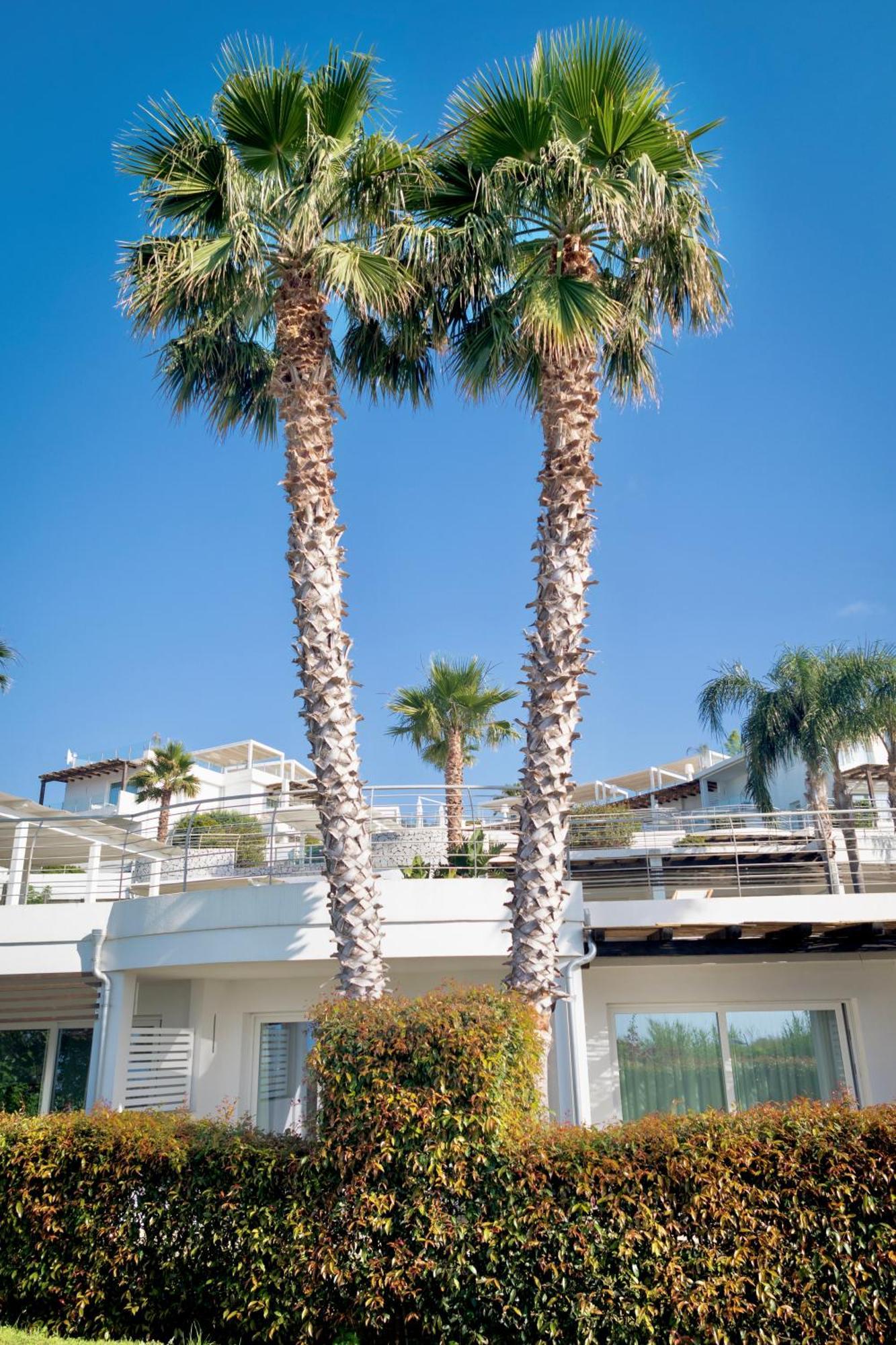 Infinity Resort Tropea 파르겔리아 외부 사진
